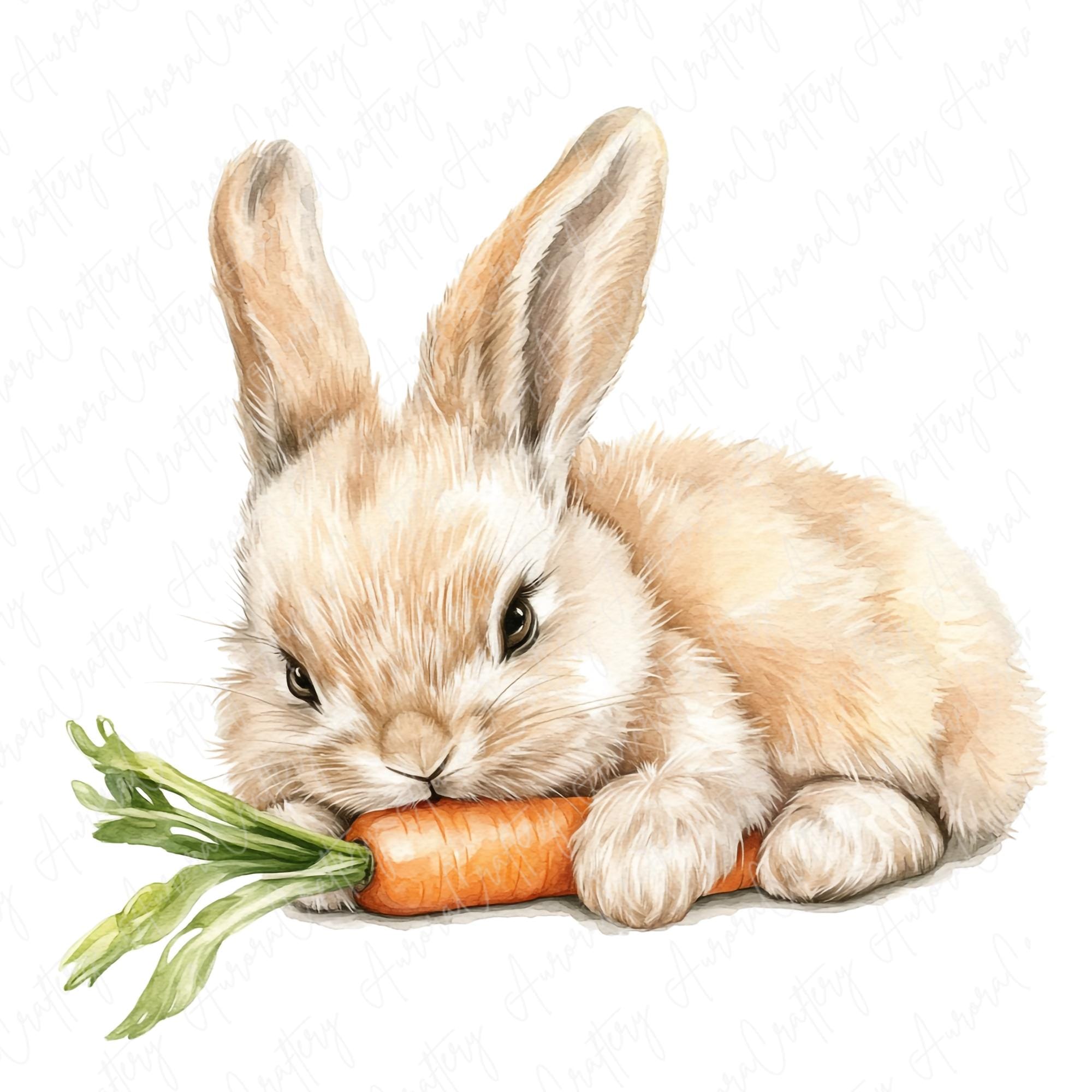 Hand Drawn Rabbit Eating 10 Watercolor Rabbit Eating Clipart, Cute Bunny Eating Carrot and ...