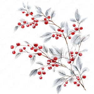 7 cliparts de branches de baies d'hiver aquarelle, baies rouges festives et feuilles givrées, clipart floral pour travaux manuels de vacances, téléchargement JPG de haute qualité