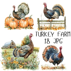 18 Turkey Farm Clipart, Watercolor Turkey Clipart Farm Animal Clipart, Turkey Thanksgiving Clipart, Paper Crafts, High Quality JPG Download