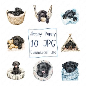 10 Clipart di cuccioli assonnati ad acquerello, Clipart di cani neri, Cane assonnato carino, Clipart di cani accoglienti per lavoretti di carta, Download di JPG di alta qualità