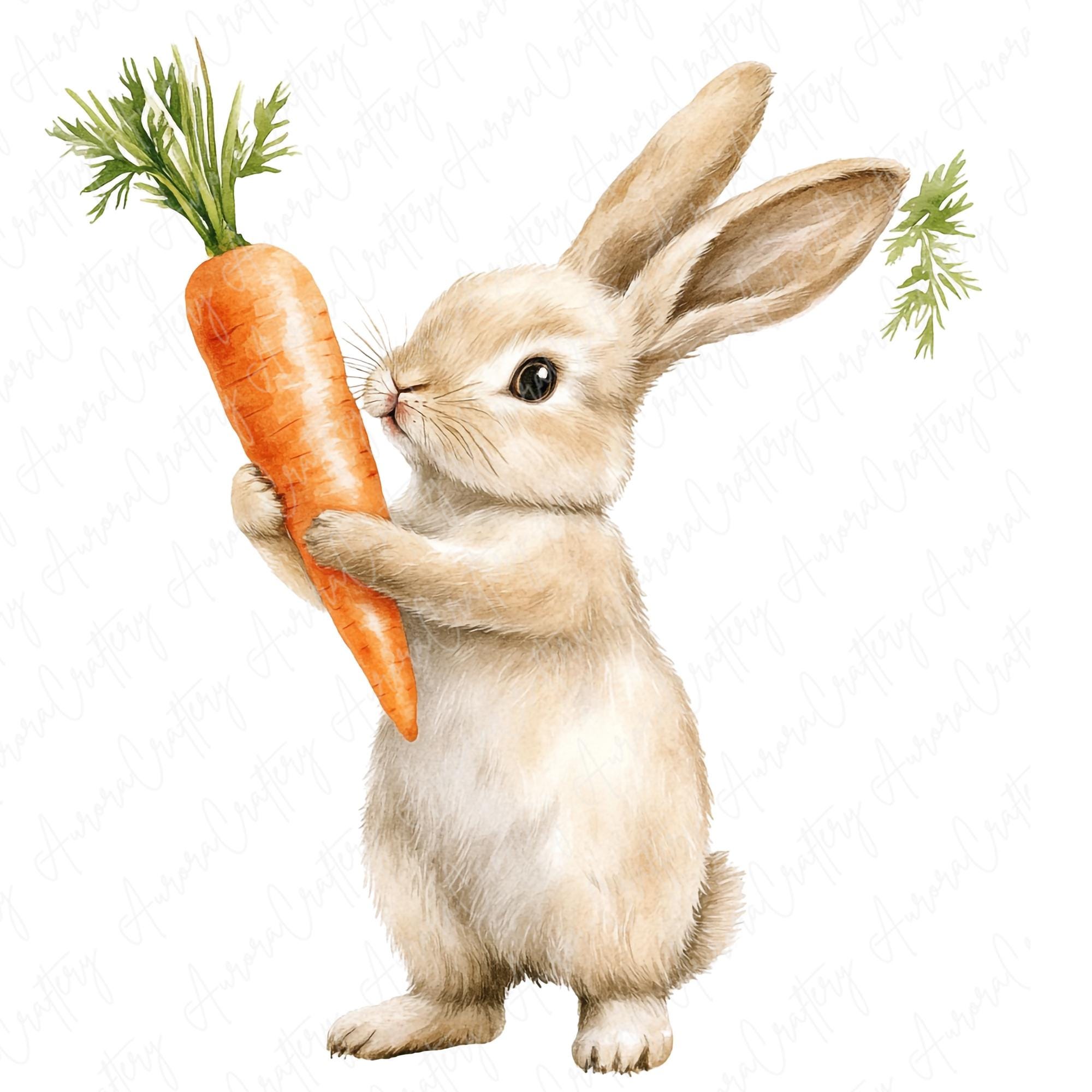 Hand Drawn Rabbit Eating 10 Watercolor Rabbit Eating Clipart, Cute Bunny Eating Carrot and ...