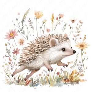A collection of 9 watercolor hedgehog clipart images, featuring hedgehogs in floral woodland settings, perfect for nursery decor and woodland-themed projects.
