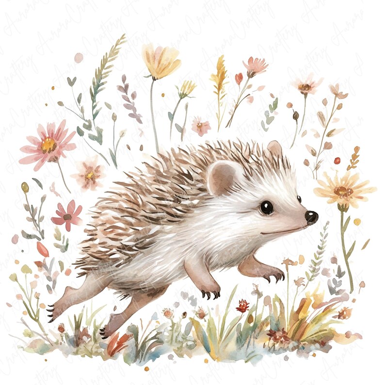 A collection of 9 watercolor hedgehog clipart images, featuring hedgehogs in floral woodland settings, perfect for nursery decor and woodland-themed projects.