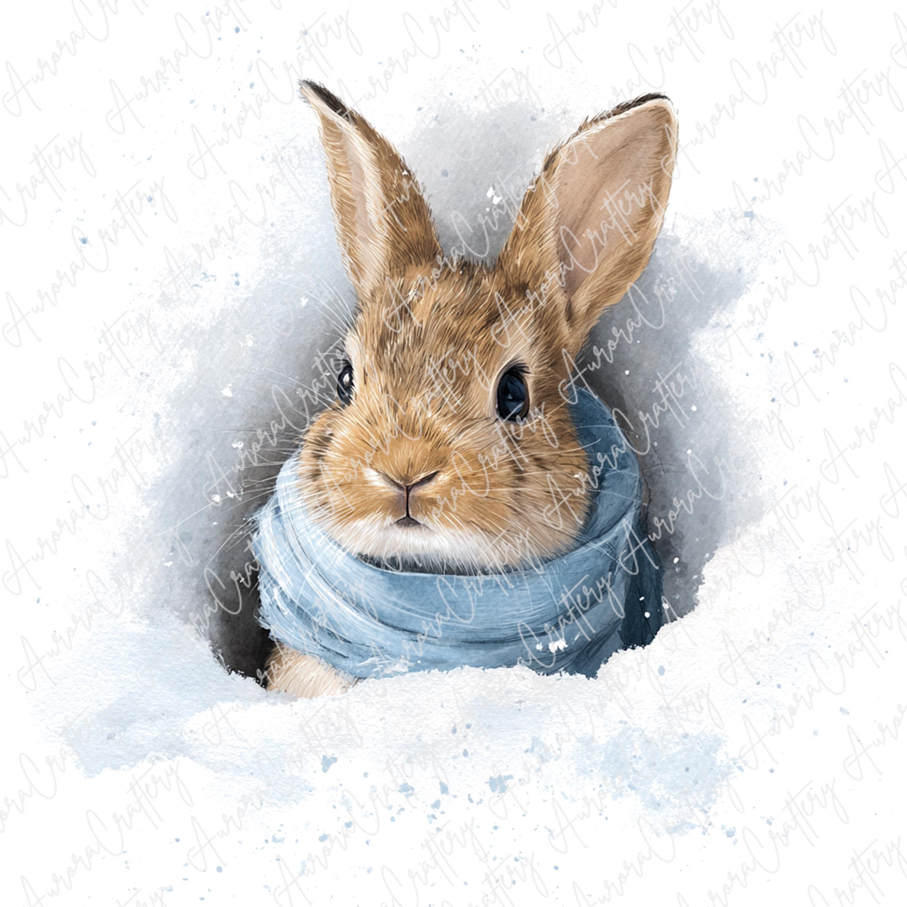 Watercoller Winter Rabbit 8 Watercolor Winter Bunny Clipart, Cute Rabbit in Blue Scarf Sitting in ...