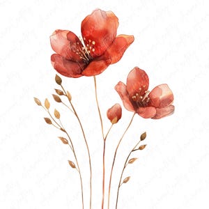 Watercolor red floral clipart image file JPG, featuring bold red blooms, perfect for adding a passionate touch to nursery decor, invitations, and more