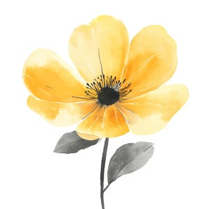 8 imágenes prediseñadas de flores de ranúnculo en acuarela, flores abstractas amarillas con acentos grises, arte floral digital para manualidades, descarga en formato JPG de alta calidad