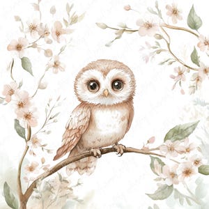 A set of 9 watercolor owl clipart images featuring cute owls perched on floral branches, ideal for nursery decor, rustic projects, and woodland-themed art designs.