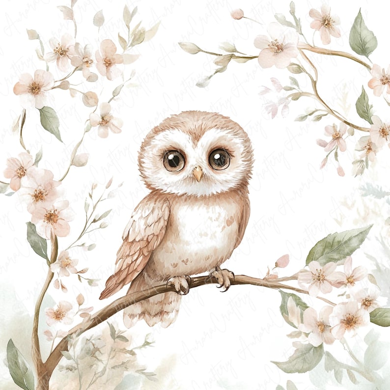 A set of 9 watercolor owl clipart images featuring cute owls perched on floral branches, ideal for nursery decor, rustic projects, and woodland-themed art designs.