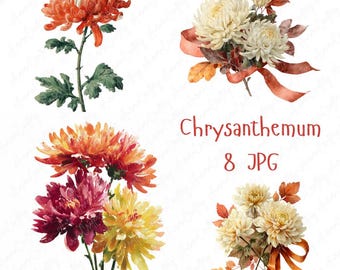 8 Crisantemos en acuarela (JPG), ramos y tallos florales otoñales, flores botánicas vintage para manualidades y scrapbooking.