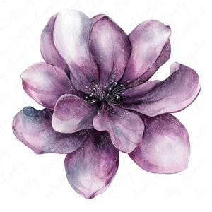 4 Clipart Floral Roxo Aquarela, Flores Roxas Elegantes, Flores Abstratas, Arte Floral Digital para Artesanato, Download JPG de Alta Qualidade