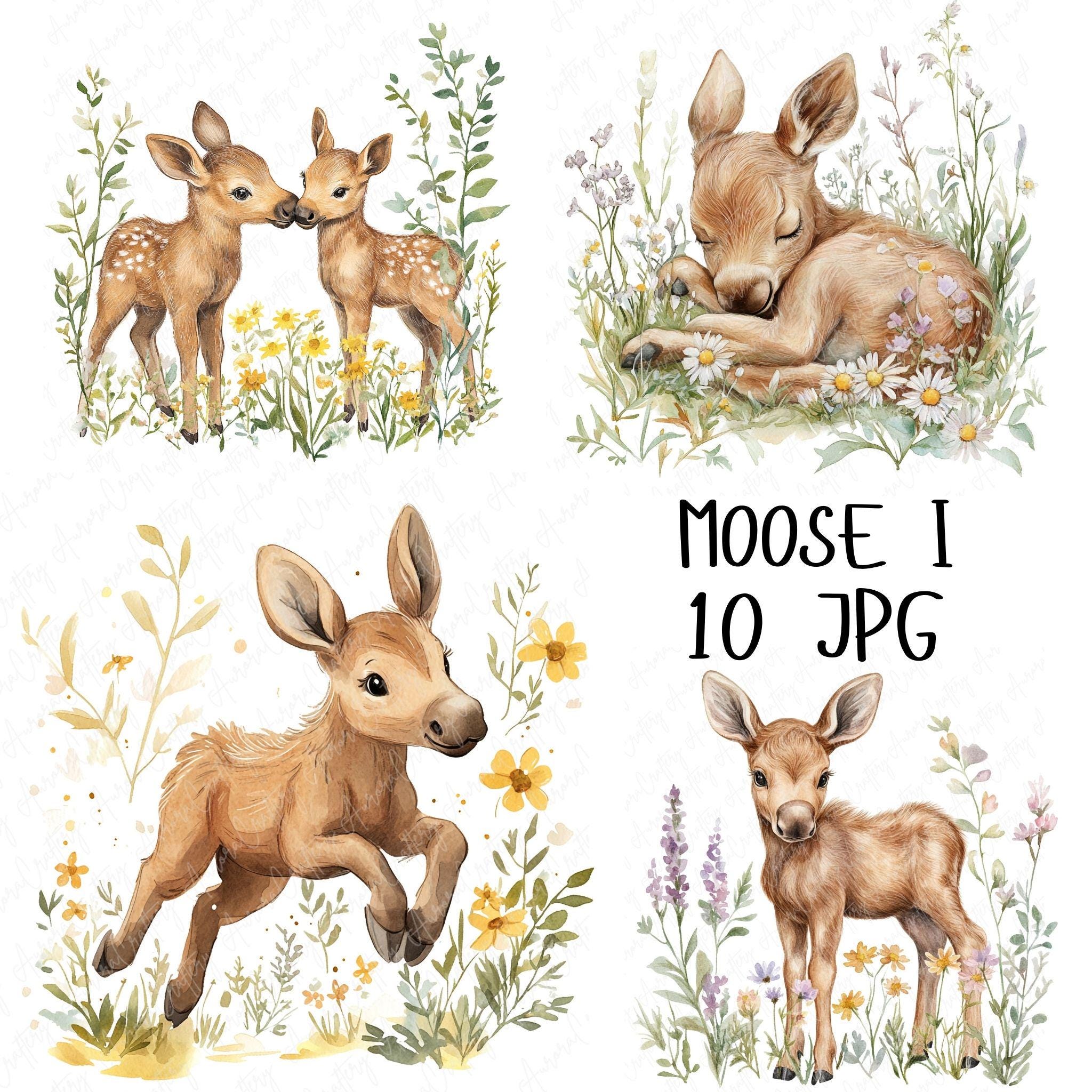 10 Watercolor Moose Clipart, Baby Moose Woodland Clipart, Woodland ...