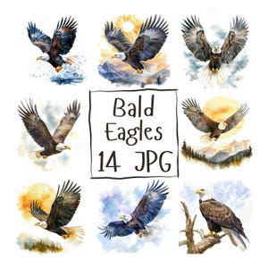 14 Watercolor Bald Eagle Clipart Majestic Eagle Clipart, Animal Clipart for Paper Crafts & Invitations, High Quality JPG Digital Download