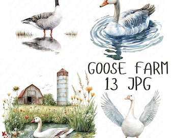 13 Goose Farm Watercolor Clipart, Goose Clipart Watercolor Animals Clipart, Farm Clipart for Paper Crafts, High Quality JPG Digital Download