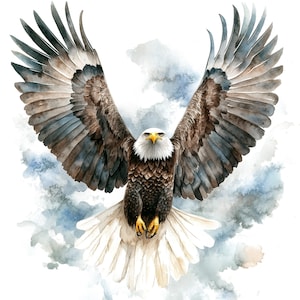 May include: A watercolor painting of a bald eagle with its wings spread wide, soaring through a cloudy sky. The eagle's feathers are detailed with shades of brown, gray, and white, and its eyes are sharp and focused.
