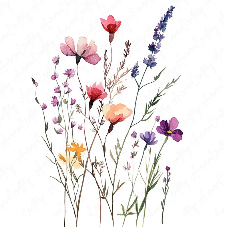 Watercolor ink wildflowers clipart image file JPG, featuring delicate botanical flower designs with hand-drawn ink accents, perfect for creative projects like wedding invitations and scrapbooking