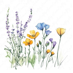 Watercolor ink wildflowers clipart image file JPG, featuring delicate botanical flower designs with hand-drawn ink accents, perfect for creative projects like wedding invitations and scrapbooking