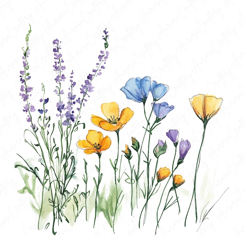 Watercolor ink wildflowers clipart image file JPG, featuring delicate botanical flower designs with hand-drawn ink accents, perfect for creative projects like wedding invitations and scrapbooking