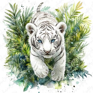 May include: A watercolour illustration of a white tiger cub with bright blue eyes, walking forward. The cub is surrounded by lush green foliage, creating a jungle scene. The tiger has black stripes and is set against a white background.