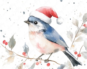 8 Watercolor Festive Winter Bird Clipart, Winter Birds in Festive