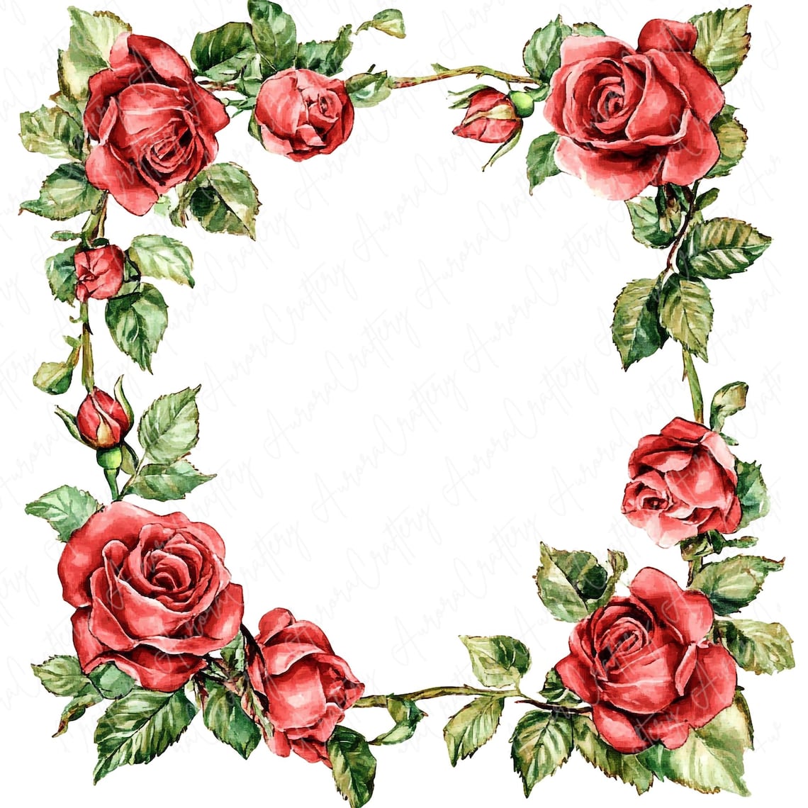 12 Watercolor Rose Frame Clipart, Valentine's Red Roses Square Frames ...