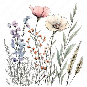 Watercolor ink wildflowers clipart image file JPG, featuring delicate botanical flower designs with hand-drawn ink accents, perfect for creative projects like wedding invitations and scrapbooking