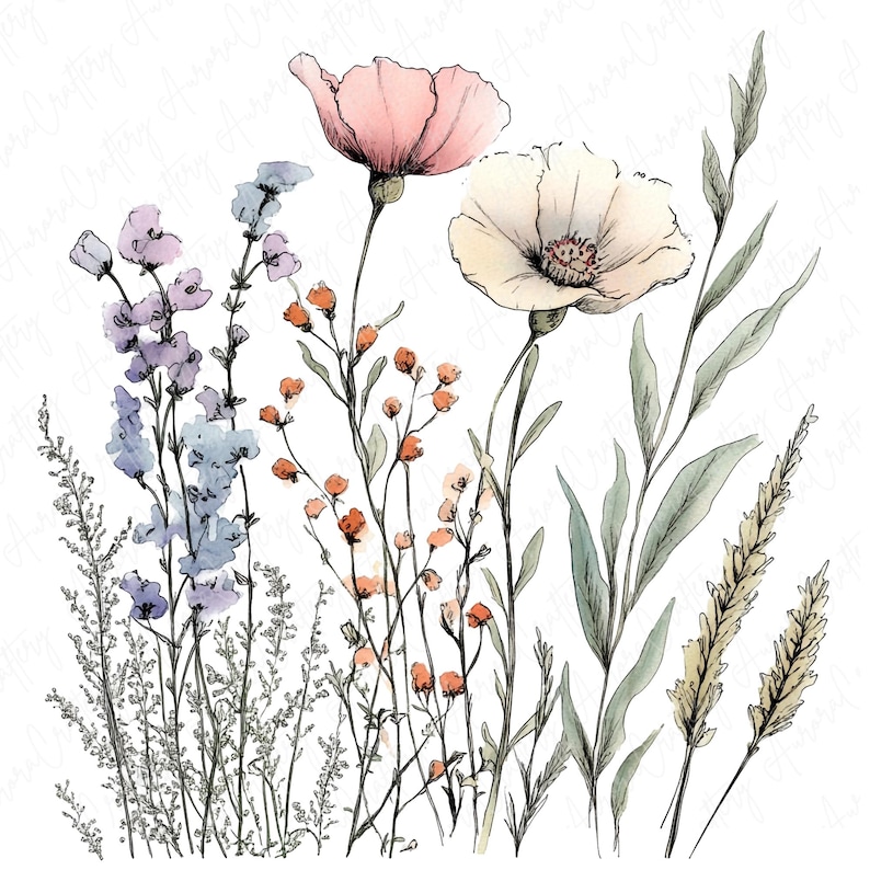 Watercolor ink wildflowers clipart image file JPG, featuring delicate botanical flower designs with hand-drawn ink accents, perfect for creative projects like wedding invitations and scrapbooking