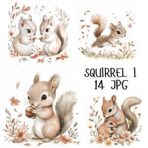 14 Clipart aquarelle écureuil, clipart chambre d'enfant écureuil automne, chambre d'animaux des bois, Clipart écureuil mignon, téléchargement JPG haute qualité