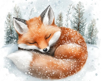 Può includere: Una volpe rossa rannicchiata e addormentata nella neve. La volpe ha gli occhi chiusi e la coda avvolta attorno al corpo. Lo sfondo è una foresta innevata con pini.
