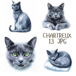13 Clipart chat chartreux aquarelle, élégants chats bleu-gris, clipart chat mignon, clipart chat pour travaux manuels en papier, téléchargement JPG de haute qualité
