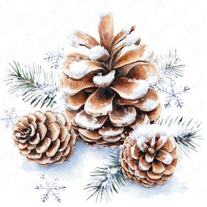 11 Clipart di pigne ad acquerello, pigne invernali innevate, accenti sempreverdi, elementi stagionali per lavoretti natalizi, download di JPG di alta qualità