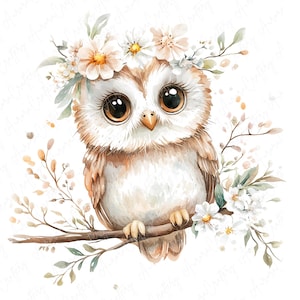 A set of 9 watercolor owl clipart images featuring cute owls perched on floral branches, ideal for nursery decor, rustic projects, and woodland-themed art designs.