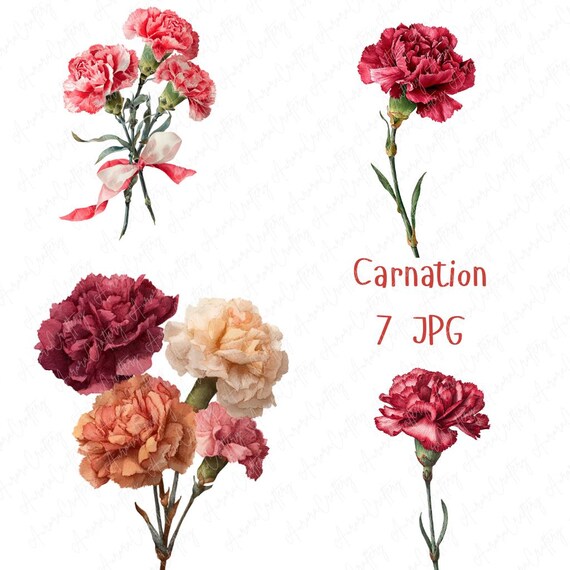 Red Carnation Flower Clipart