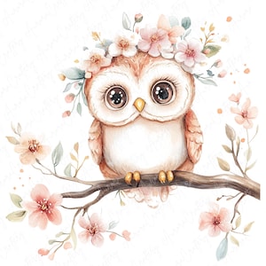 A set of 9 watercolor owl clipart images featuring cute owls perched on floral branches, ideal for nursery decor, rustic projects, and woodland-themed art designs.