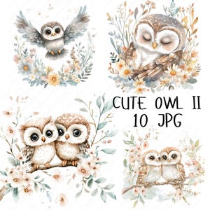 10 Clipart hibou aquarelle, hibou mignon des cliparts Woodland, hibou des bois et Clipart Floral, clipart animaux lunatique de pépinière, JPG de haute qualité