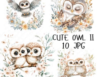 10 akvarell uggla Clipart, söt uggla skogsmark Clipart, skogsuggla och blommig Clipart, nyckfull barnkammardjur Clipart, högkvalitativ JPG
