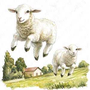May include: Two white lambs, one jumping in the air and the other running on a grassy field. The lamb in the air has its legs outstretched and its head tilted up. The lamb on the ground has its head tilted down and its legs are bent. There is a small house in the background.