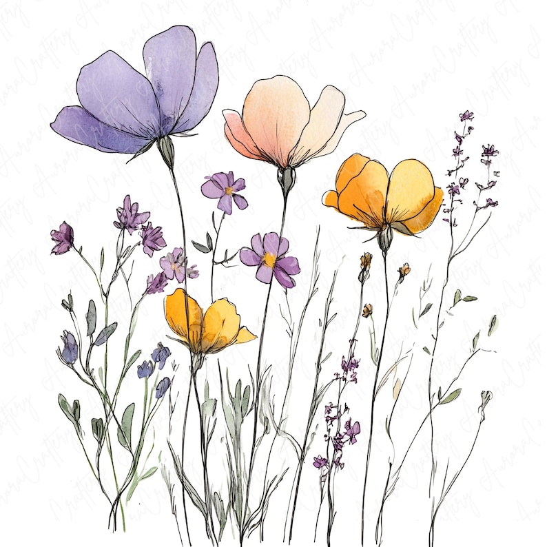 Watercolor ink wildflowers clipart image file JPG, featuring delicate botanical flower designs with hand-drawn ink accents, perfect for creative projects like wedding invitations and scrapbooking