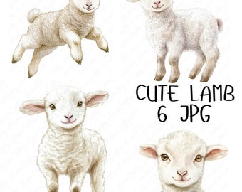 6 Watercolor Cute Lamb Clipart, Adorable Baby Lamb Nursery Clipart, Cute Baby Animal Clipart for Nursery Crafts, High Quality JPG Download