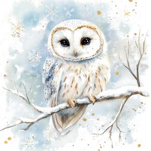 6 aquarel winteruil clipart, besneeuwde bosuil, feestelijke witte uil clipart, bosrijke winter dierlijke clipart, hoogwaardige JPG-download