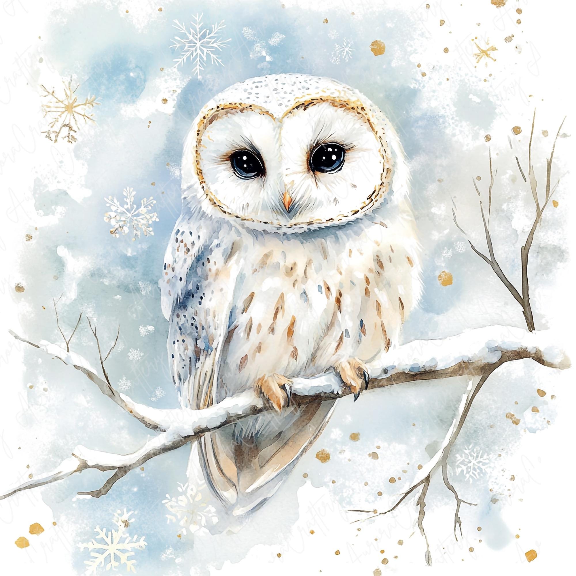6 Watercolor Winter Owl Clipart, Snowy Woodland Owl, Festive White Owl Clipart, Woodland Winter Anim