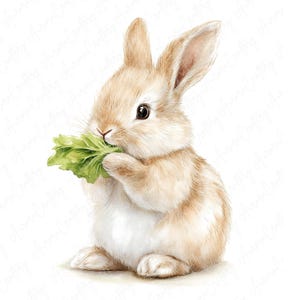 Hand Drawn Rabbit Eating 10 Watercolor Rabbit Eating Clipart, Cute Bunny Eating Carrot and ...