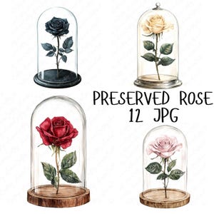 12 Watercolor Preserved Rose Clipart, Romantic Red Rose Clipart, Valentine’s Day Clipart, Red Rose Clipart for Paper Craft, High-Quality JPG