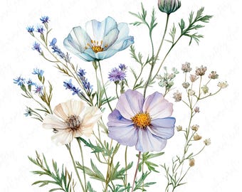 12 Well Defined Wildflower Watercolor Clipart Bundle, High Quality JPG, Instant Download, Printable Clipart for Paper Crafts & Scrapbooking