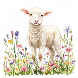 May include: A white lamb standing in a field of colorful wildflowers. The lamb has a fluffy white coat and is looking at the camera. The flowers are in bloom and are a variety of colors, including pink, purple, yellow, and blue.