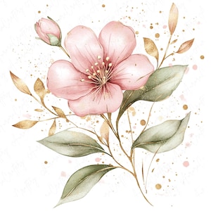 7 Aquarell rosa wilde Blume Clipart, Frühling Blumen Clipart, weiche Pastell Blume Clipart für Journals, Karten und Kunsthandwerk, hochwertige JPG