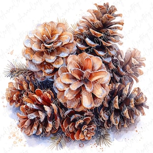 May include: Watercolor illustration of several brown pine cones with a dusting of white snow. The pine cones are clustered together with a few sprigs of green pine needles. The image has a soft, artistic feel.
