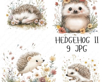 9 Watercolor Hedgehog Clipart, Floral Hedgehog Woodland Decor, Cute Forest Animal Clipart, Nursery Woodland Animal, High Quality JPG Clipart