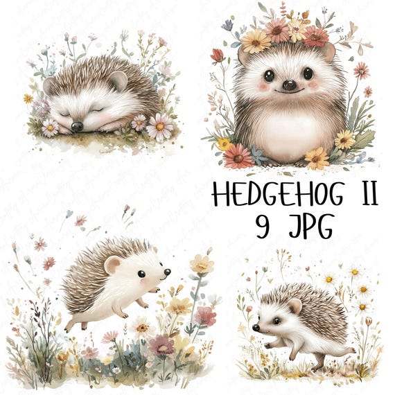 9 Watercolor Hedgehog Clipart, Floral Hedgehog Woodland Decor, Cute Forest Animal Clipart, Nursery Woodland Animal, High Quality JPG Clipart