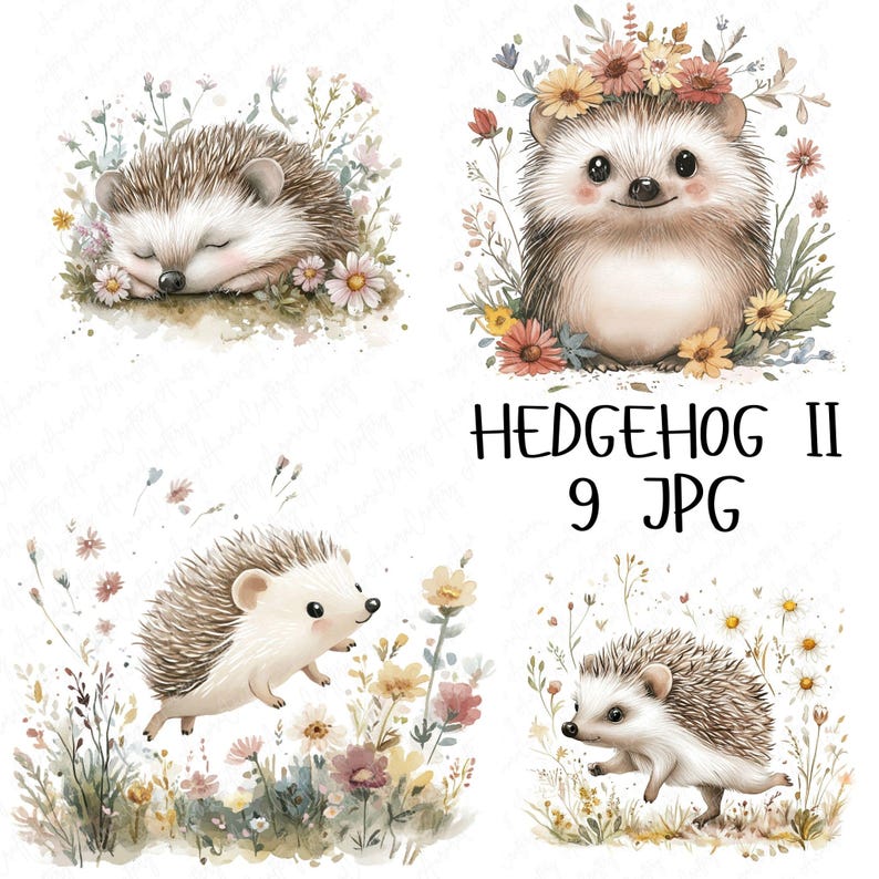 A collection of 9 watercolor hedgehog clipart images, featuring hedgehogs in floral woodland settings, perfect for nursery decor and woodland-themed projects.