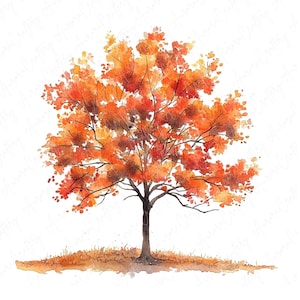 7 Clipart de árvore de outono em aquarela, folhagem de outono, clipart de outono, folhas de outono, árvore sazonal para artesanato em papel, download de JPG de alta qualidade